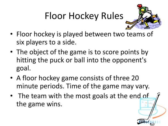 Floor hockey rules for pe