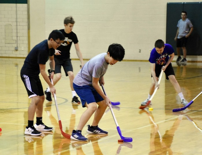 Floor hockey rules for pe