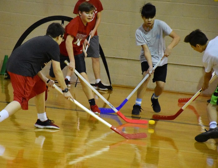 Floor hockey rules for pe