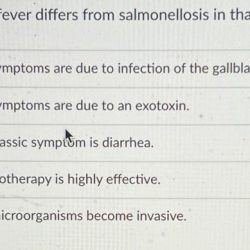 Typhoid salmonella fever typhi