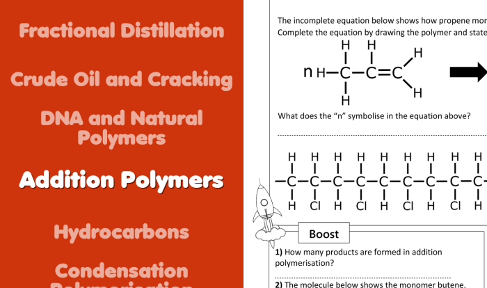 Monomers and polymers worksheet option 1 answer key