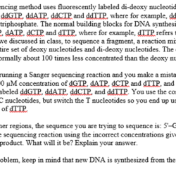 Sequencing sanger quick shot